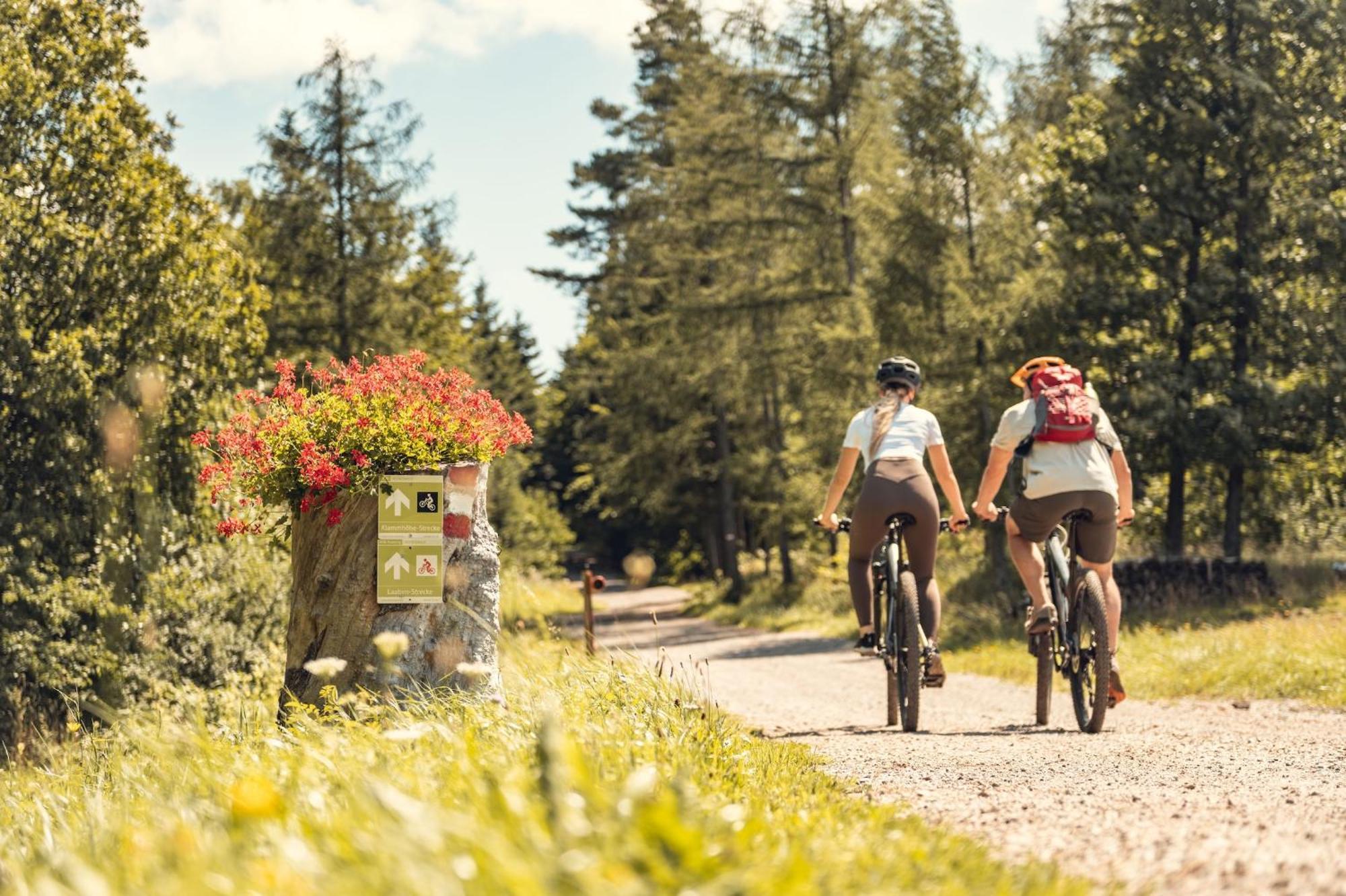 Landgasthof Zur Linde Laaben Luaran gambar