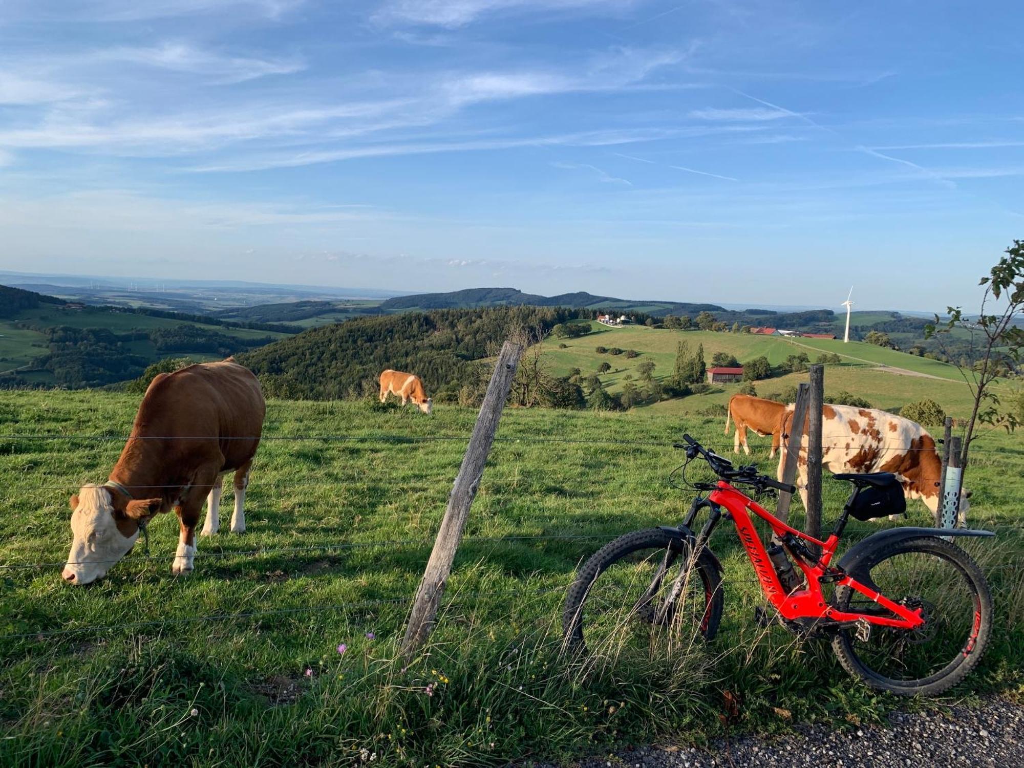 Landgasthof Zur Linde Laaben Luaran gambar