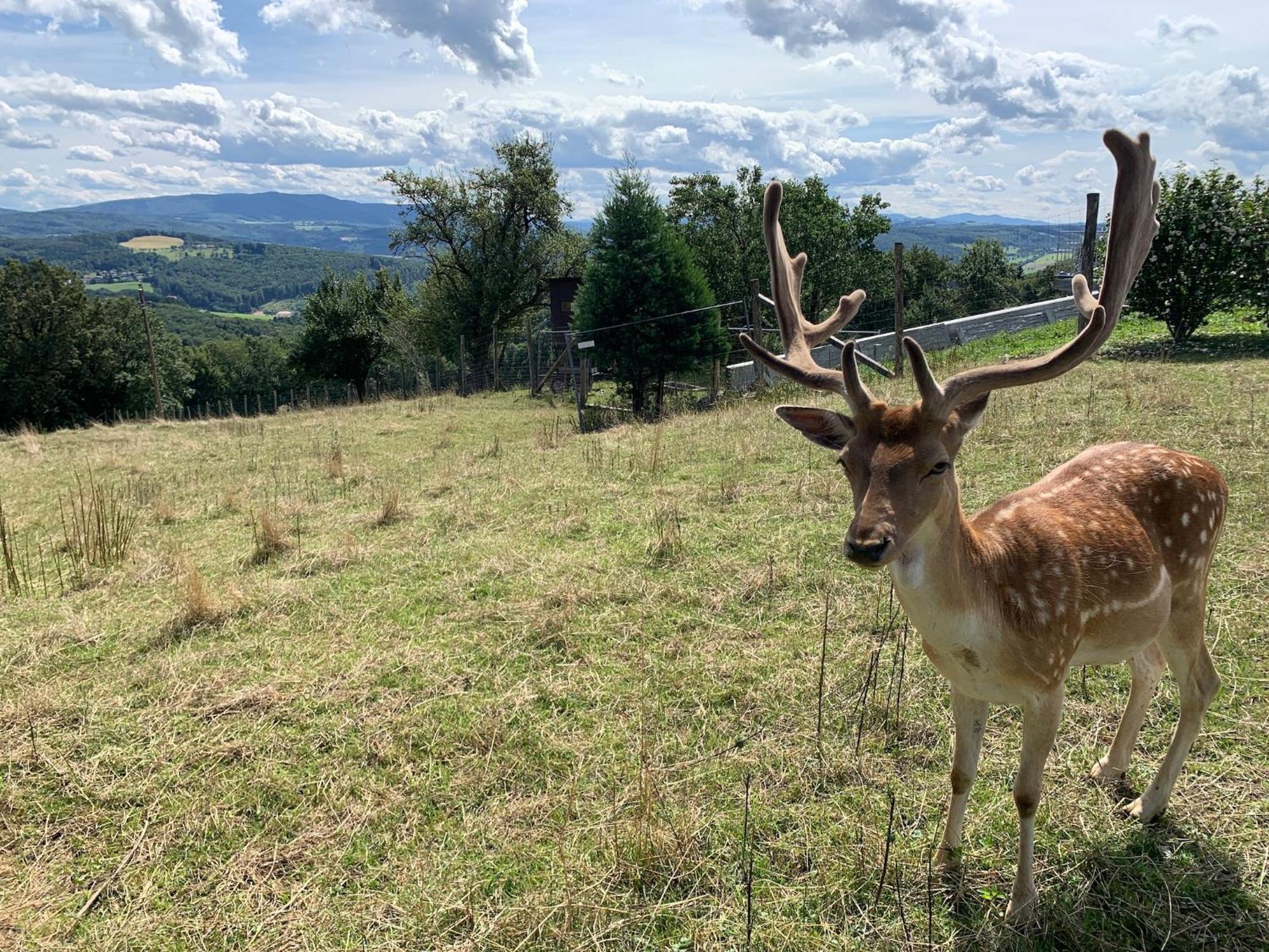 Landgasthof Zur Linde Laaben Luaran gambar