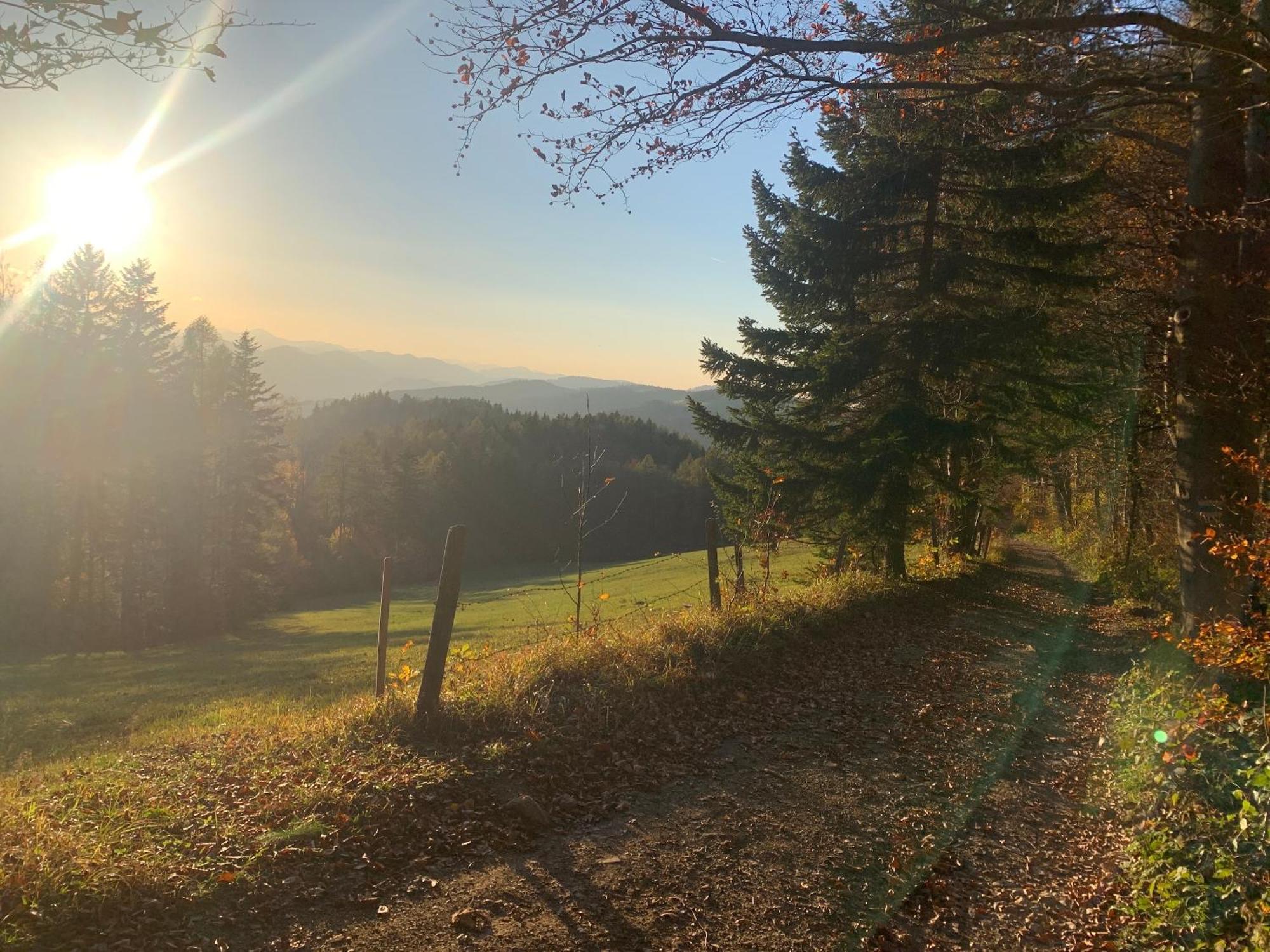 Landgasthof Zur Linde Laaben Luaran gambar